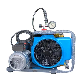 Портативный воздушный компрессор высокого давления 300 бар для пейнтбола/подводного плавания/пожаротушения